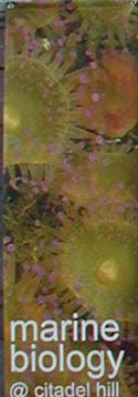 full colour banner