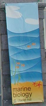 full colour banners
