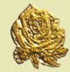 brass signs