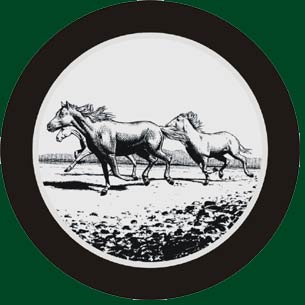 black and white horses wheel cover