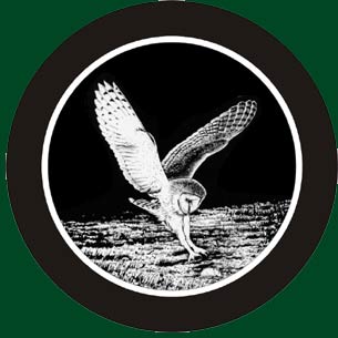 black and white owl