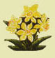 motif for house signs