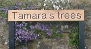 carved wooden sign on 2 posts