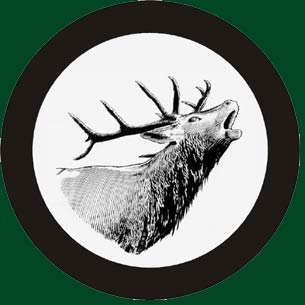 black and white stag