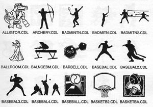 archery badminton