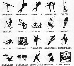 skying skating