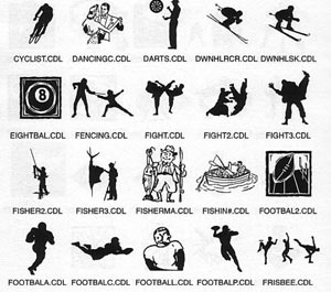 fencing fighting