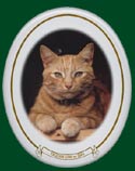 porcelain plaques