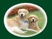 ceramic pet memorial plaque